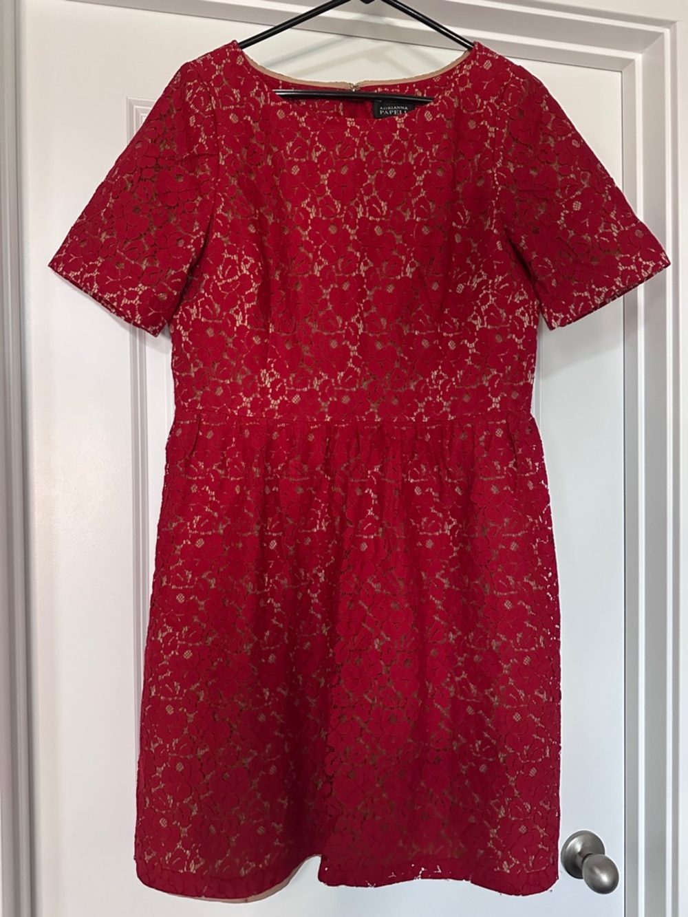 Adrianna Papell Scarlet Lace Sheath Dress